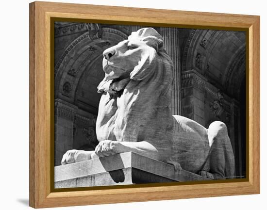 Stone Lion in Front of the New York Public Library-Alfred Eisenstaedt-Framed Premier Image Canvas