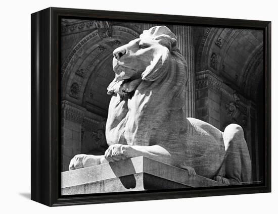 Stone Lion in Front of the New York Public Library-Alfred Eisenstaedt-Framed Premier Image Canvas