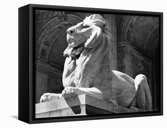 Stone Lion in Front of the New York Public Library-Alfred Eisenstaedt-Framed Premier Image Canvas