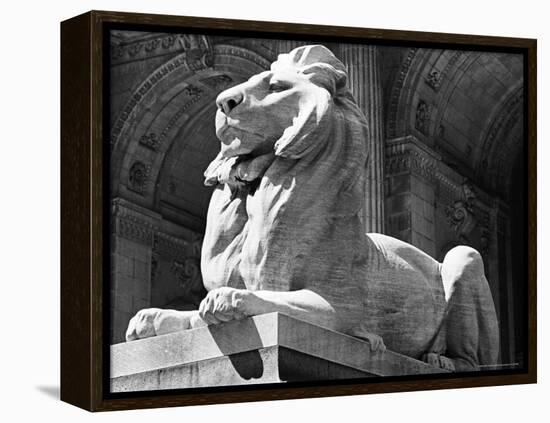 Stone Lion in Front of the New York Public Library-Alfred Eisenstaedt-Framed Premier Image Canvas