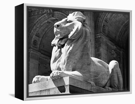 Stone Lion in Front of the New York Public Library-Alfred Eisenstaedt-Framed Premier Image Canvas