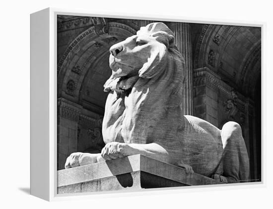 Stone Lion in Front of the New York Public Library-Alfred Eisenstaedt-Framed Premier Image Canvas