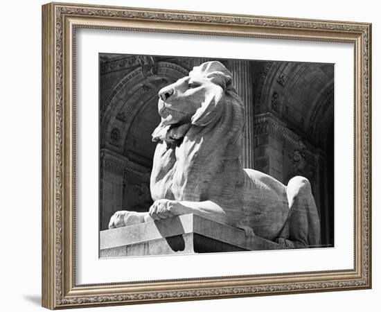 Stone Lion in Front of the New York Public Library-Alfred Eisenstaedt-Framed Photographic Print