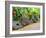 Stone Money Bank, Yap, Micronesia, Pacific-Nico Tondini-Framed Photographic Print