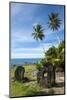 Stone Money on the Island of Yap, Micronesia-Michael Runkel-Mounted Photographic Print