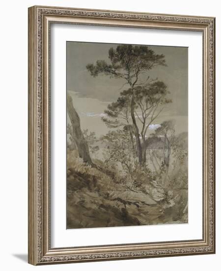 Stone Pines at Sestri-John Ruskin-Framed Giclee Print