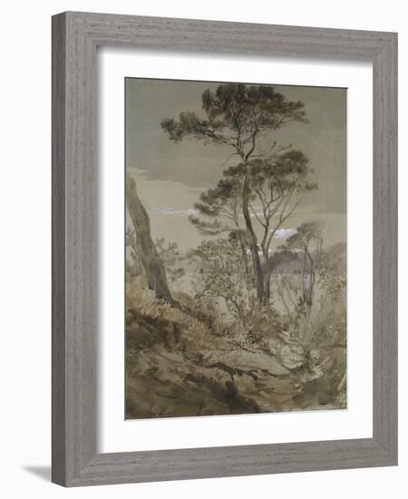 Stone Pines at Sestri-John Ruskin-Framed Giclee Print