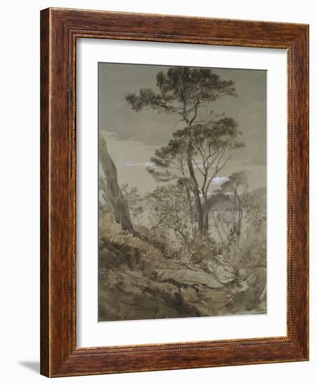 Stone Pines at Sestri-John Ruskin-Framed Giclee Print