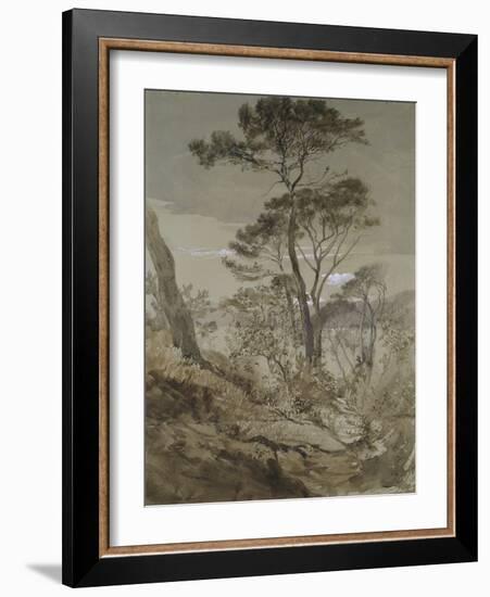 Stone Pines at Sestri-John Ruskin-Framed Giclee Print