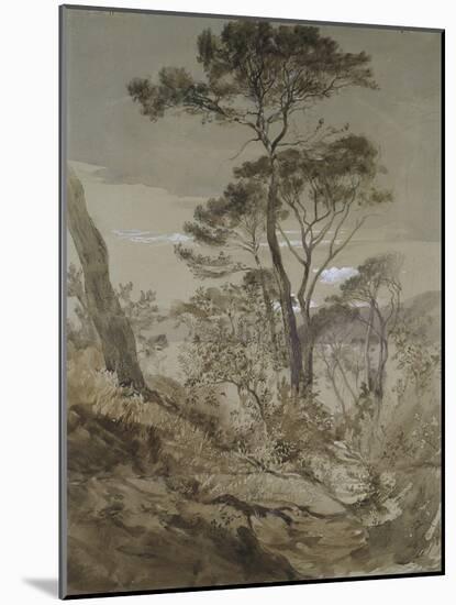 Stone Pines at Sestri-John Ruskin-Mounted Giclee Print