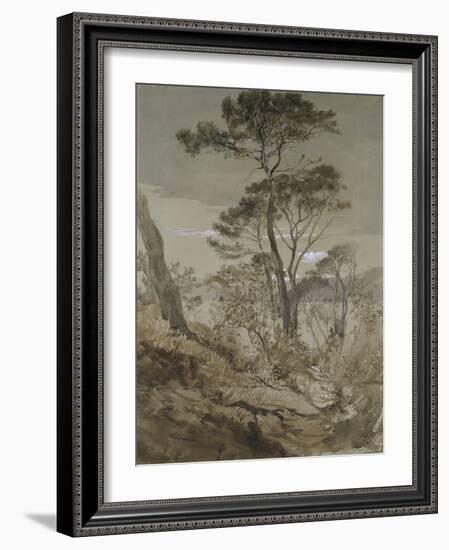 Stone Pines at Sestri-John Ruskin-Framed Giclee Print