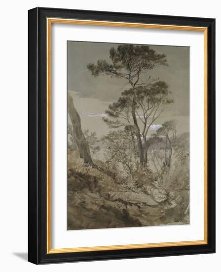 Stone Pines at Sestri-John Ruskin-Framed Giclee Print