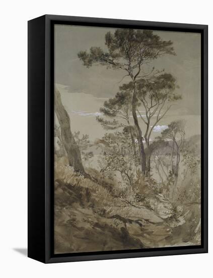 Stone Pines at Sestri-John Ruskin-Framed Premier Image Canvas
