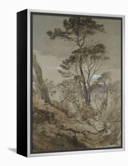 Stone Pines at Sestri-John Ruskin-Framed Premier Image Canvas