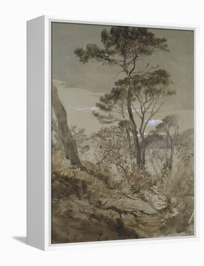 Stone Pines at Sestri-John Ruskin-Framed Premier Image Canvas