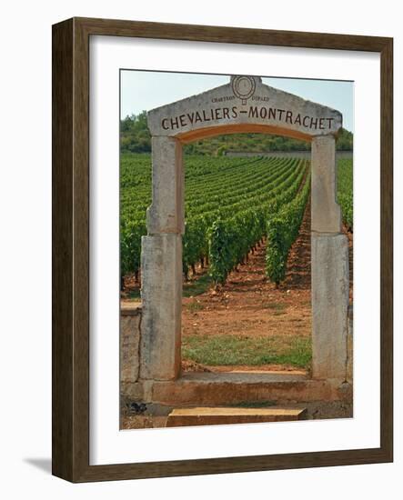 Stone Portico to the Vineyard Chevalier-Montrachet, Chartron Dupard, France-Per Karlsson-Framed Photographic Print