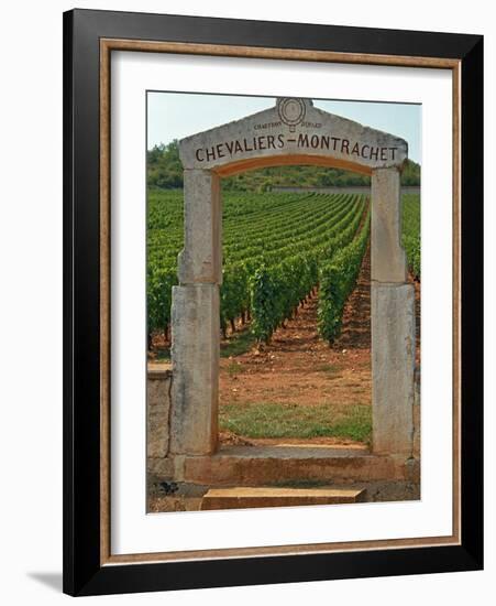 Stone Portico to the Vineyard Chevalier-Montrachet, Chartron Dupard, France-Per Karlsson-Framed Photographic Print