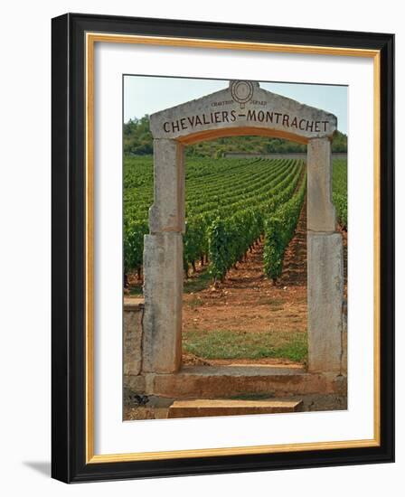 Stone Portico to the Vineyard Chevalier-Montrachet, Chartron Dupard, France-Per Karlsson-Framed Photographic Print