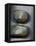 Stone Reflections II-Nicole Katano-Framed Stretched Canvas