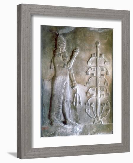 Stone Relief of Sargon I Standing before a Tree of Life, 24th-23rd Century Bc-null-Framed Giclee Print