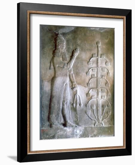 Stone Relief of Sargon I Standing before a Tree of Life, 24th-23rd Century Bc-null-Framed Giclee Print