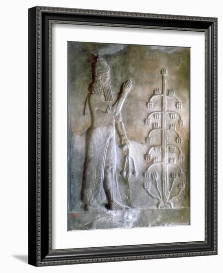 Stone Relief of Sargon I Standing before a Tree of Life, 24th-23rd Century Bc-null-Framed Giclee Print