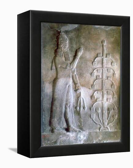 Stone Relief of Sargon I Standing before a Tree of Life, 24th-23rd Century Bc-null-Framed Premier Image Canvas