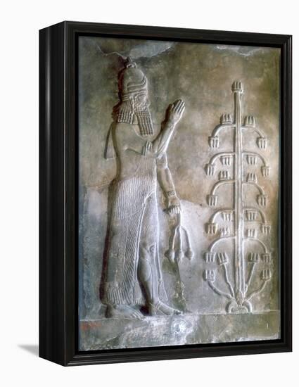 Stone Relief of Sargon I Standing before a Tree of Life, 24th-23rd Century Bc-null-Framed Premier Image Canvas