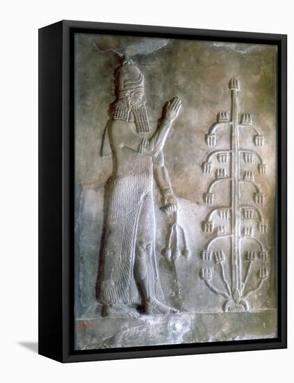 Stone Relief of Sargon I Standing before a Tree of Life, 24th-23rd Century Bc-null-Framed Premier Image Canvas