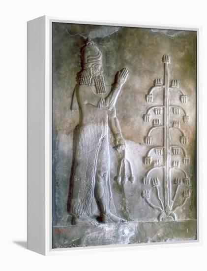 Stone Relief of Sargon I Standing before a Tree of Life, 24th-23rd Century Bc-null-Framed Premier Image Canvas