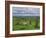 Stone Row at Stall Moor, Dartmoor National Park, Devon, England, United Kingdom, Europe-Woolfitt Adam-Framed Photographic Print