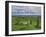 Stone Row at Stall Moor, Dartmoor National Park, Devon, England, United Kingdom, Europe-Woolfitt Adam-Framed Photographic Print