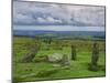 Stone Row at Stall Moor, Dartmoor National Park, Devon, England, United Kingdom, Europe-Woolfitt Adam-Mounted Photographic Print