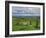 Stone Row at Stall Moor, Dartmoor National Park, Devon, England, United Kingdom, Europe-Woolfitt Adam-Framed Photographic Print