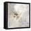 Stone Sky-Joshua Schicker-Framed Premier Image Canvas