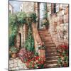 Stone Stairway Petites B-Roger Duvall-Mounted Art Print