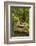 Stone Step Trail-johnsroad7-Framed Photographic Print