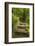 Stone Step Trail-johnsroad7-Framed Photographic Print