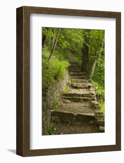 Stone Step Trail-johnsroad7-Framed Photographic Print