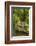 Stone Step Trail-johnsroad7-Framed Photographic Print