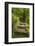 Stone Step Trail-johnsroad7-Framed Photographic Print