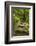 Stone Step Trail-johnsroad7-Framed Photographic Print