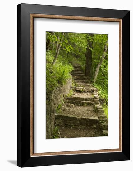 Stone Step Trail-johnsroad7-Framed Photographic Print