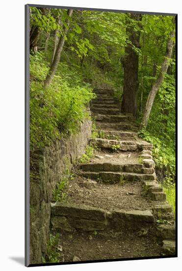 Stone Step Trail-johnsroad7-Mounted Photographic Print