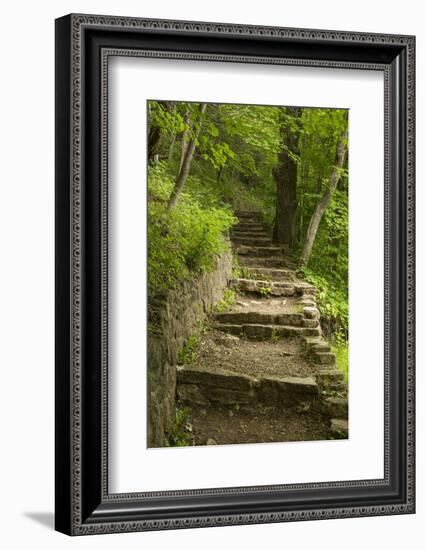 Stone Step Trail-johnsroad7-Framed Photographic Print