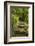 Stone Step Trail-johnsroad7-Framed Photographic Print