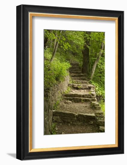 Stone Step Trail-johnsroad7-Framed Photographic Print