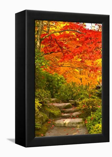 Stone Steps in a Forest in Autumn, Washington State, USA-null-Framed Stretched Canvas