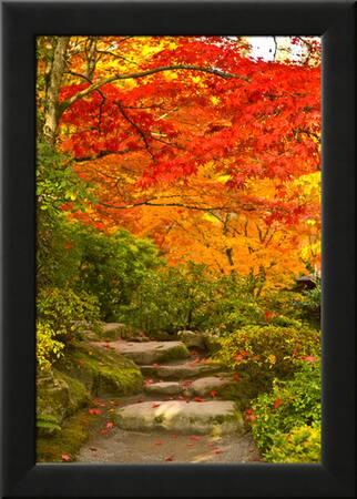 Stone Steps In A Forest In Autumn Washington State Usa Photographic Print Art Com