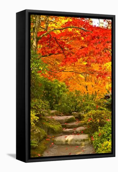 Stone Steps in a Forest in Autumn, Washington State, USA-null-Framed Stretched Canvas